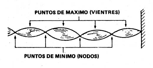 Figura 11
Figura 11