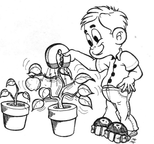 Figura 1 - Magnetismo que influye en el crecimiento de las plantas
Figura 1 - Magnetismo que influye en el crecimiento de las plantas