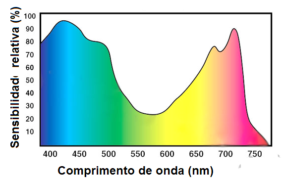Figura 2 – espectro de absorción típica de una planta
Figura 2 – espectro de absorción típica de una planta