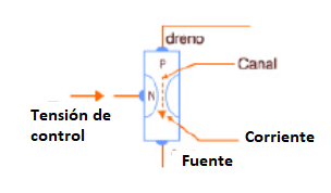 Figura 1
