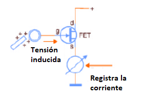 Figura 2
