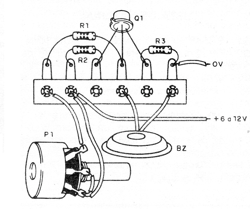Figura 2 - Aspecto del montaje en puente de terminales
Figura 2 - Aspecto del montaje en puente de terminales