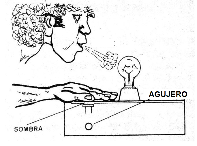 Figura 4 - Figura 4 -