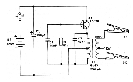 Figura 1 - Diagrama completo del electrificador
